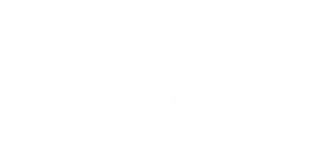 NGI Sul